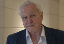 is david attenborough vegan