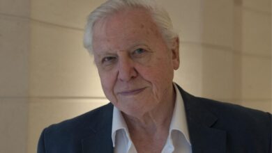 is david attenborough vegan