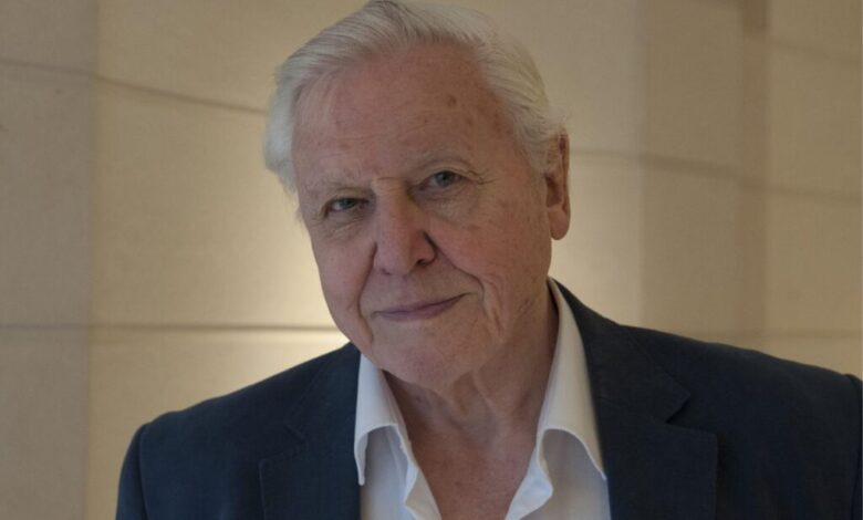 is david attenborough vegan